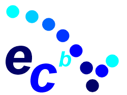 EDV Consulting im Bereich Homepage Analyse und Design sowie Qualit�tssicherung